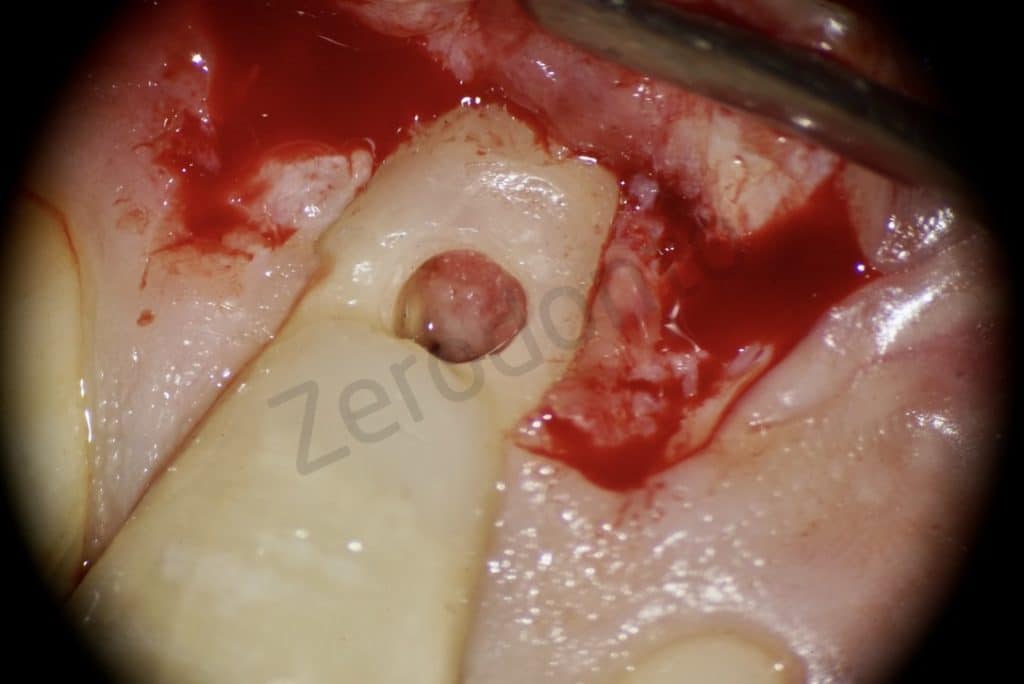 DD0D08DE-A5F3-4F55-B2D8-4BB7A99AA550_1_105_c