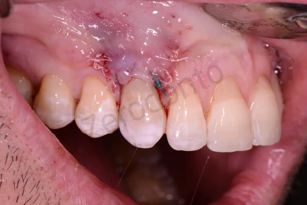 FA6FF19D-E4A5-4AE6-8925-99538A295745_1_105_c