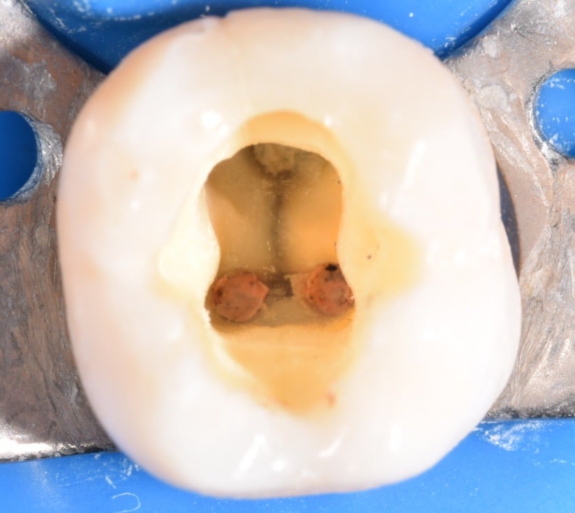 05307B3C-4848-43B0-B7F8-B20CF4854018