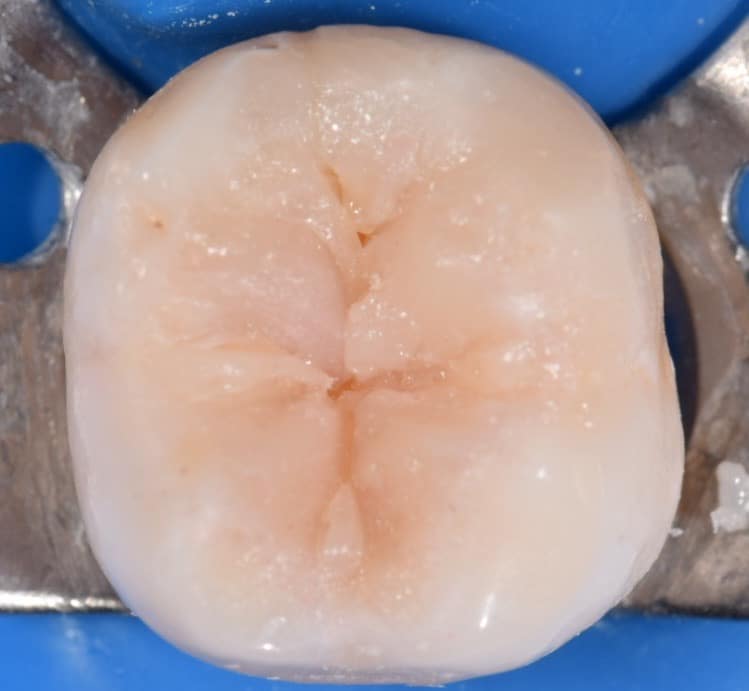 40931659-2FC9-4C49-98C9-527693E04401