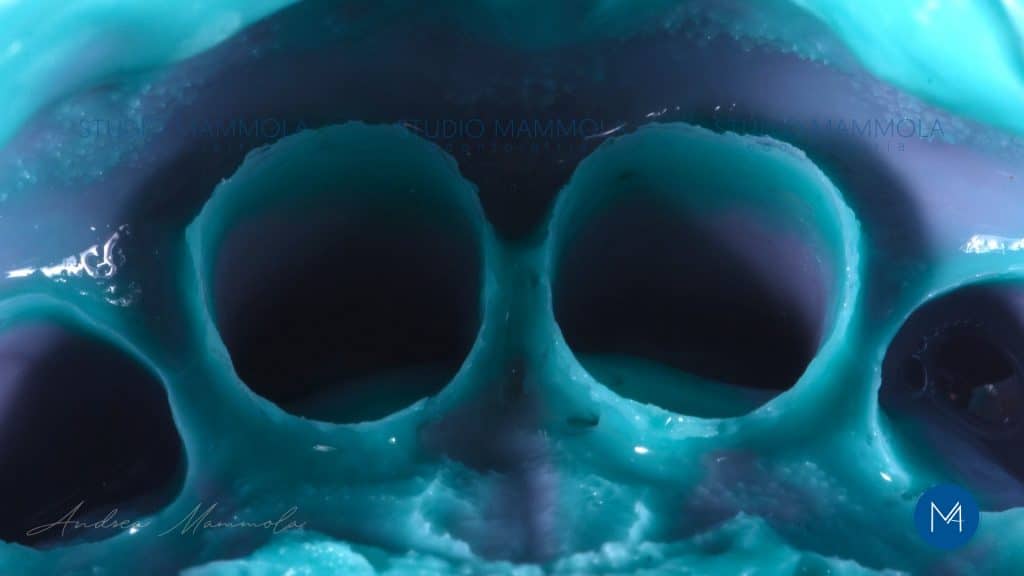 46C80537-9ED5-458B-B790-8E276A80BF55