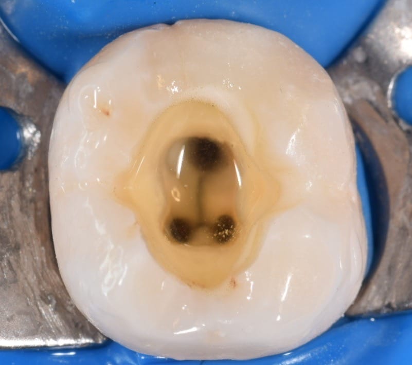 72E5D625-BF3A-4E3B-A401-9FB6A3D76F2B