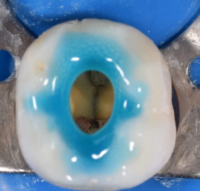 76662779-B403-4194-99AC-C6A9832BAA7E