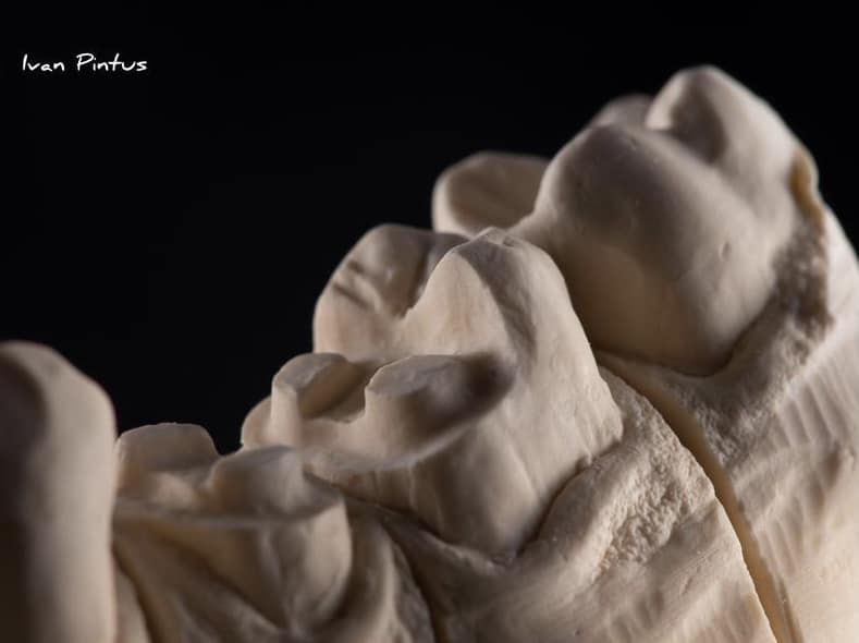 C6024565-A63D-43A0-86CB-97299F8833B7