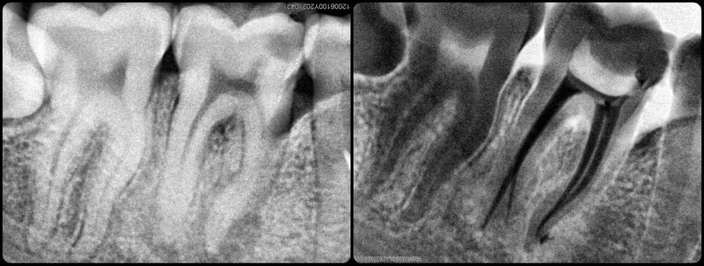 inbound1761049790526096396