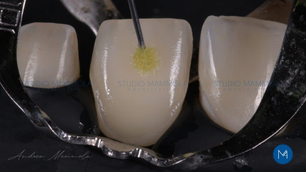 2F5AF164-4A65-4DA8-A5F9-5EC05BAFEC39