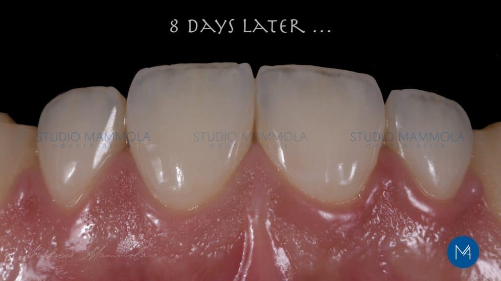 C4160DAD-07F2-4219-BAAB-1BD53350F962