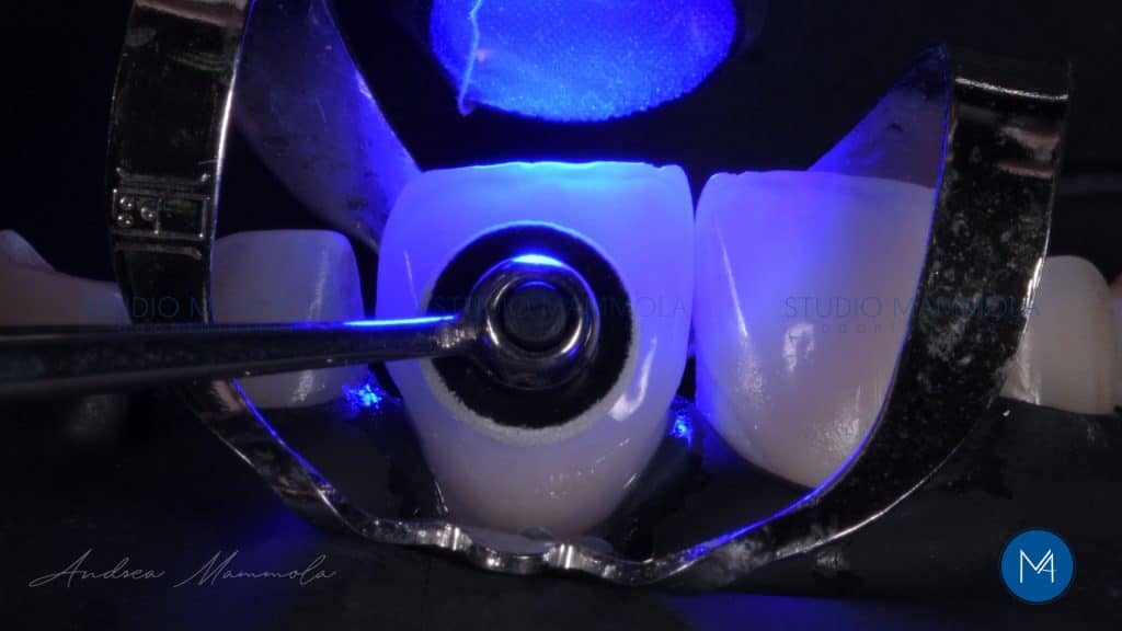 C75CC6FF-2B30-4F62-89E4-33608E44720B