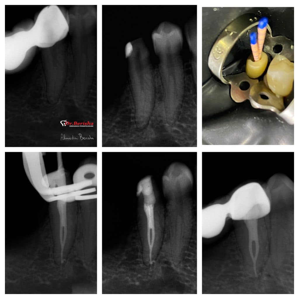 18C3007C-F07D-4195-8523-B4DB1D9112B7