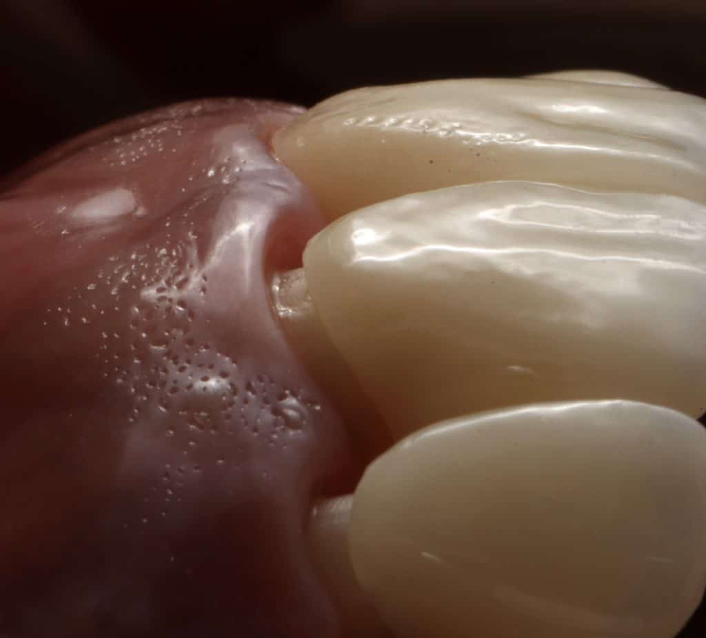 107DE480-D1E4-4A4E-AD16-408C63B887B3