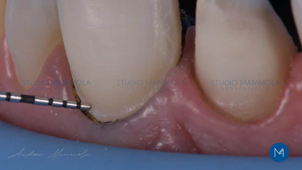 63E29A01-055A-43CA-B82D-89829F6E6D34