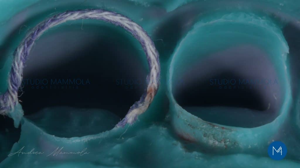 67E572BE-ECD7-4A9E-9361-E42D97666F24