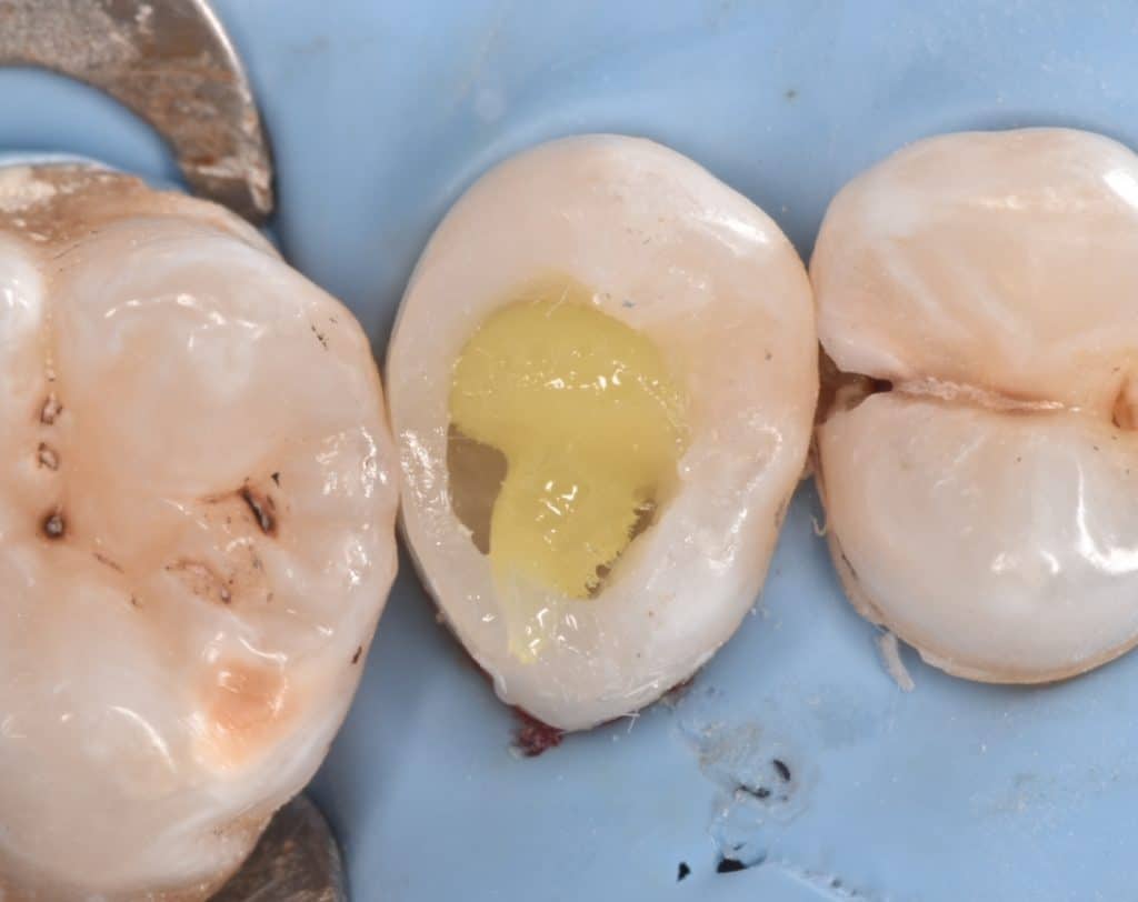 ٢٠٢٢٠١١٨_١٧٢٦٥٠