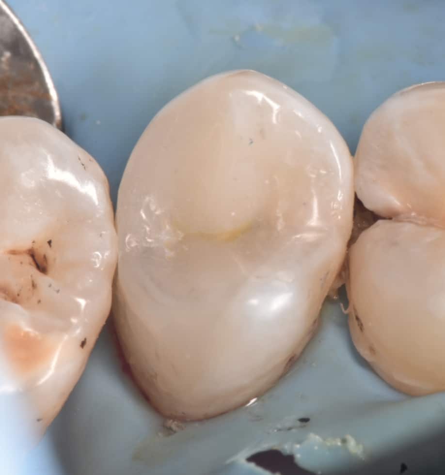 ٢٠٢٢٠١١٨_١٧٢٧٠٩