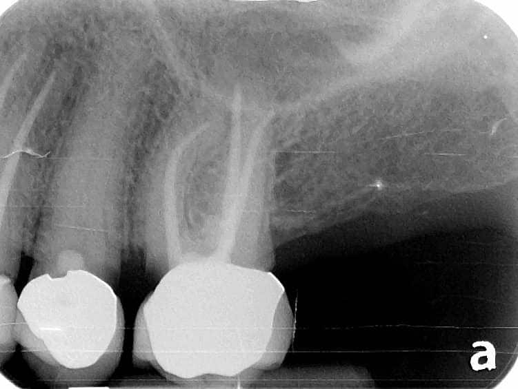 109786173_10105223107453171_4865606715891630296_n