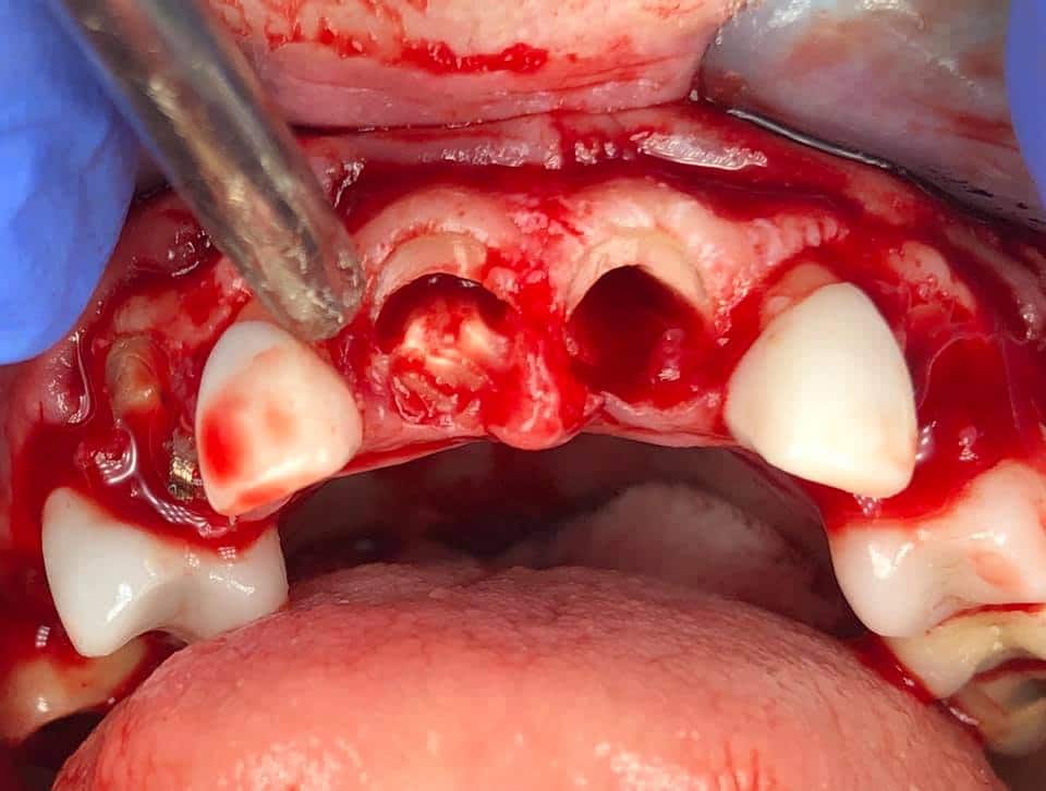 110029415_10105224299359581_7038290155396585305_n