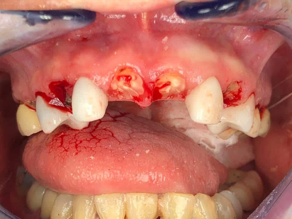 110916997_10105224299429441_6660684291207312728_n