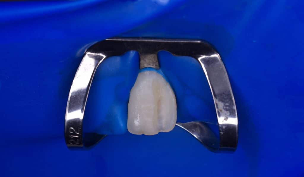 D06EEEF7-8EFC-46FD-826C-12BEDB7933D0