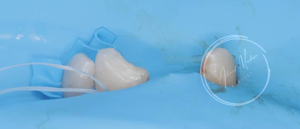 IMG_20220129_005420-01