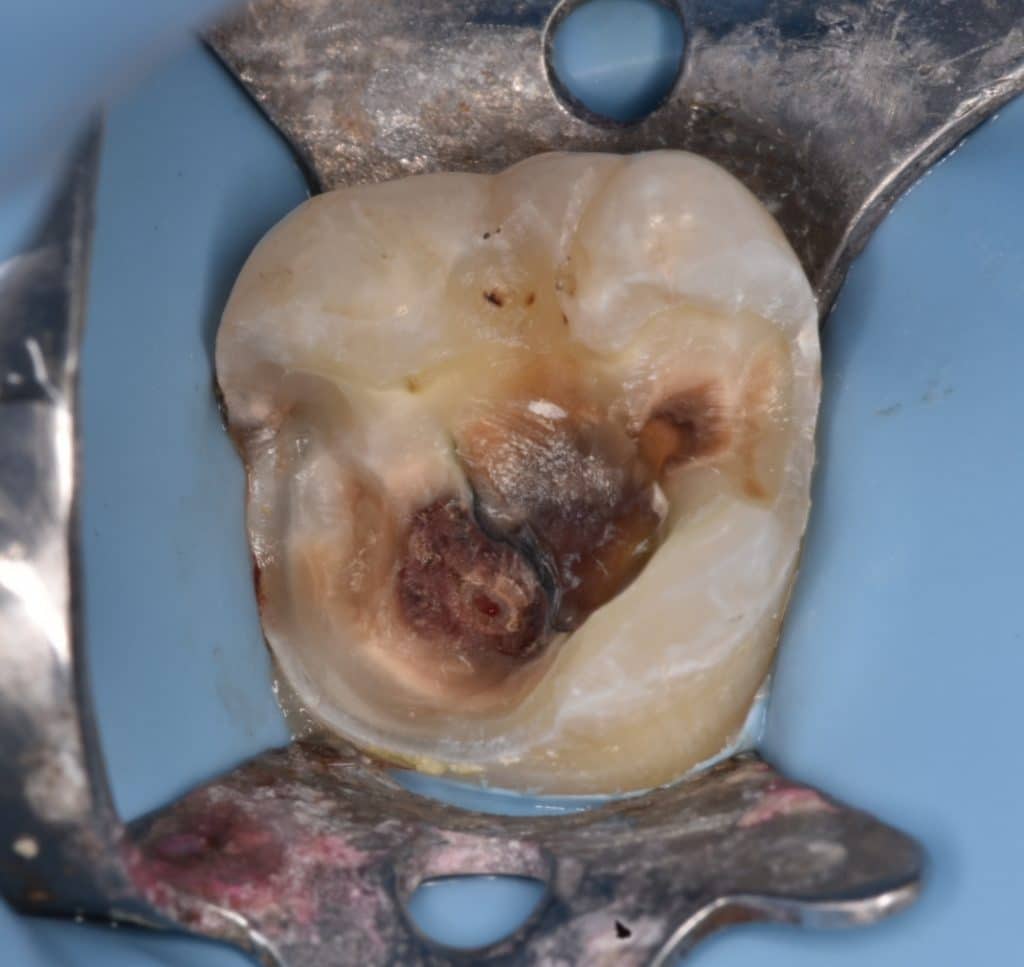 ٢٠٢٢٠٢١٥_٢١٥٣١٥