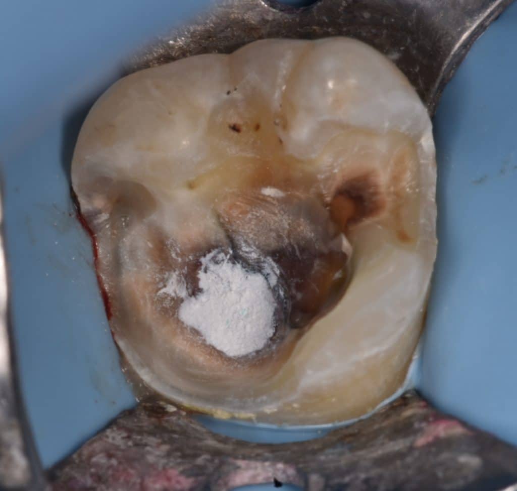 ٢٠٢٢٠٢١٥_٢١٥٣٣٧