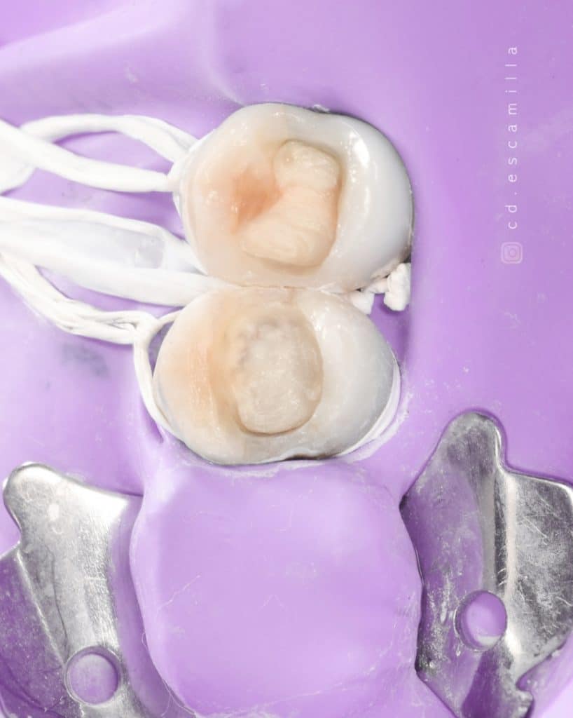 CDF54124-3A83-4FD9-BF24-657D039C2864