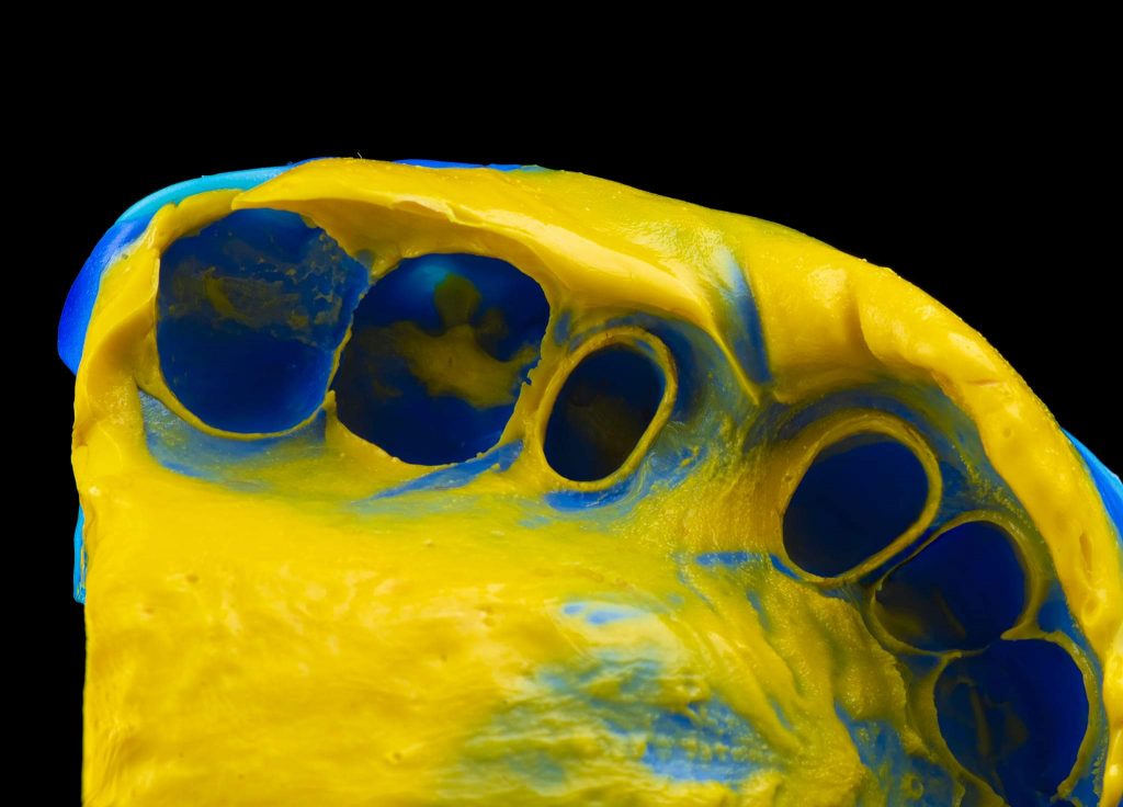 FB_IMG_1646152481996