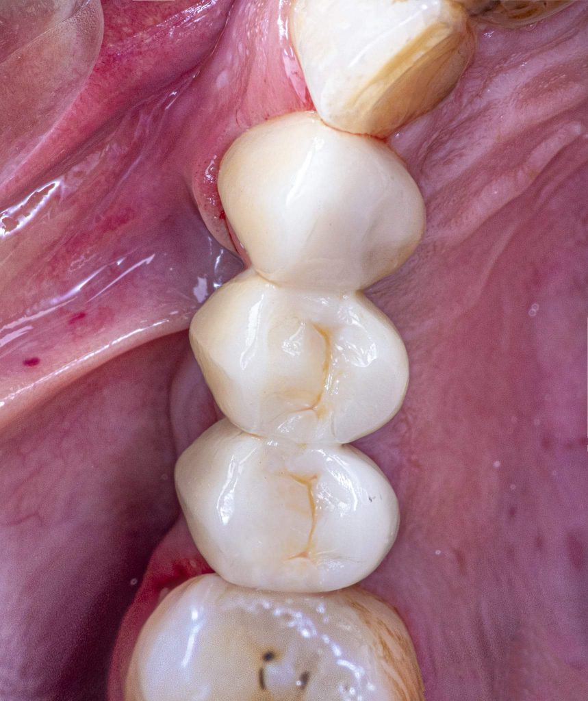 FB_IMG_1646152489942