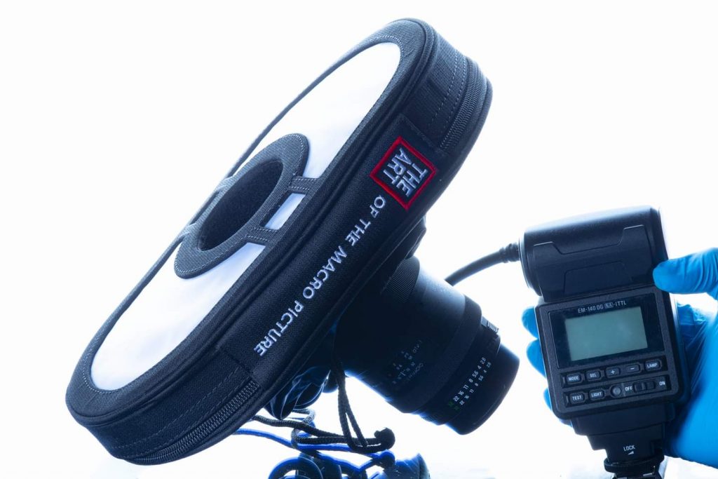 FB_IMG_1646152501736