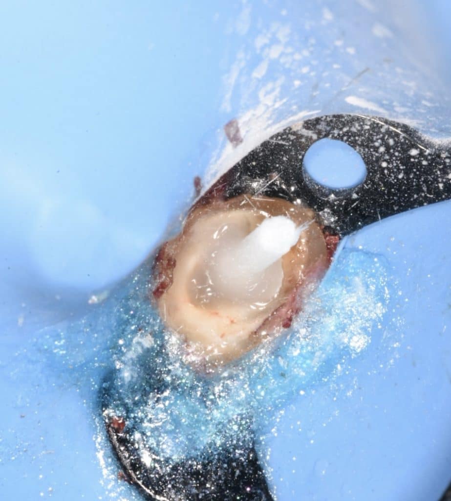 19BD21D9-E20F-49E6-8554-29FF303BF873