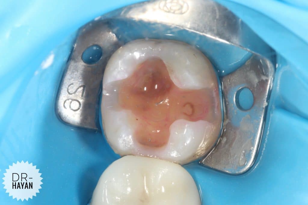 2264342B-9088-48A9-8476-7CB465C20B80