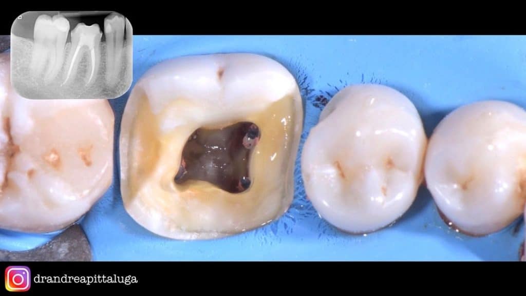 50D8FFD2-406B-4CFD-823C-BFBD4055830D