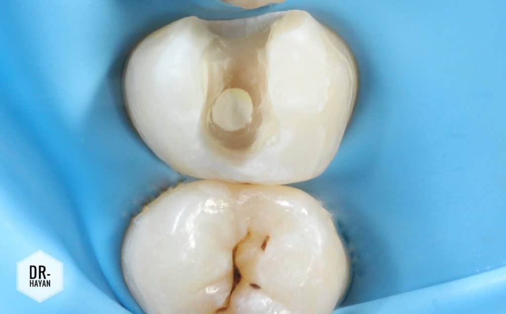 72712EB6-2E0B-498A-B3F8-DB183585A126