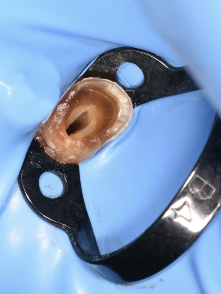 7EED6523-3FB5-4631-A9C5-D18AB8C2AAE7