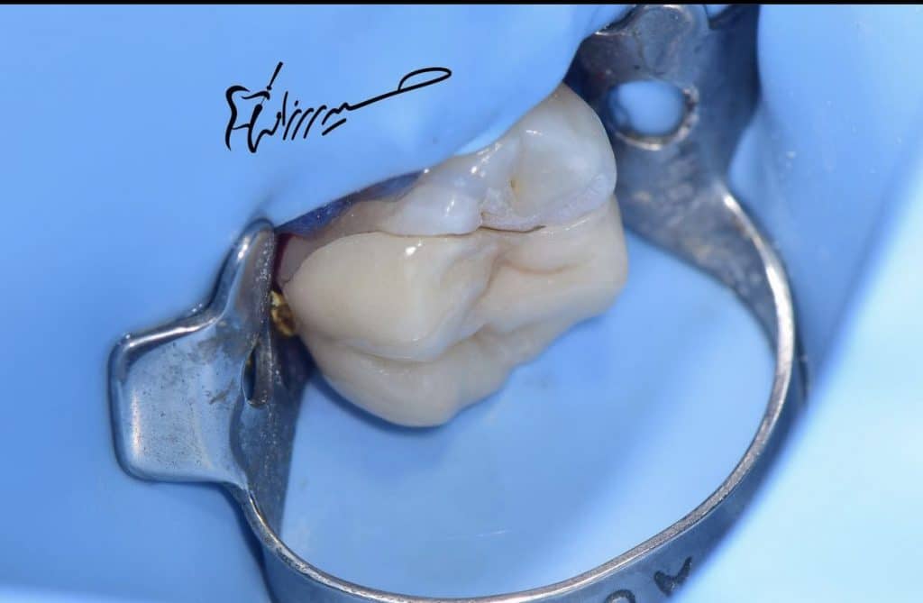 8F8858E3-E16A-4B38-B1B7-8445EDBB41B4