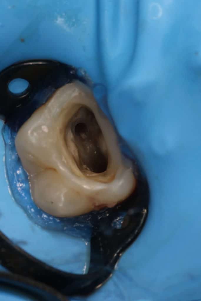 A43BF294-FC30-4AF9-A598-5EA6961C3D33