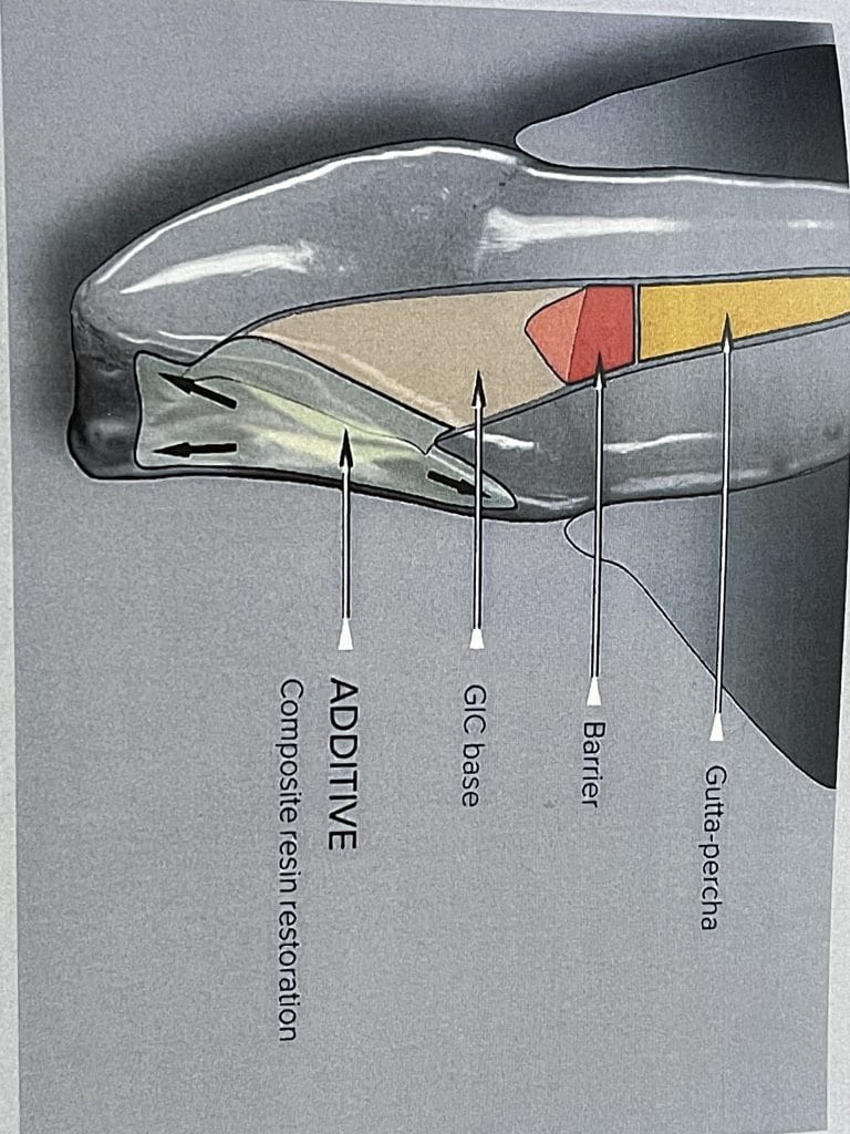 B5094131-5E4E-412A-AC17-D555A33D4145