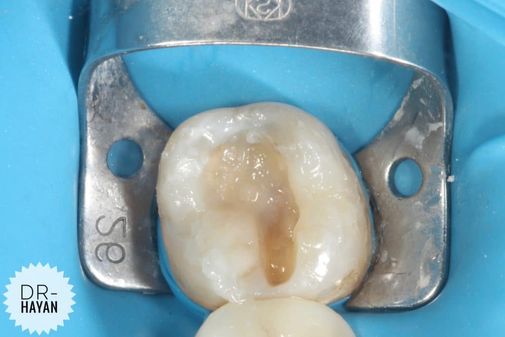 BB69618D-BF1F-4207-A3FA-77D87E279668