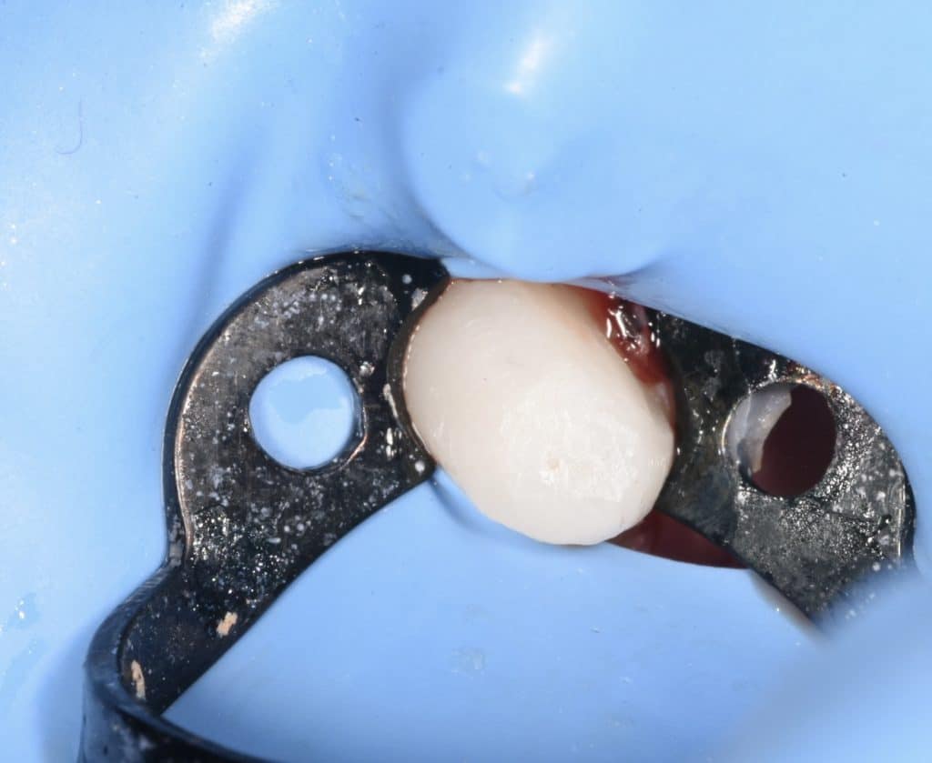 C08C57F3-6592-4112-8994-FC390476F394