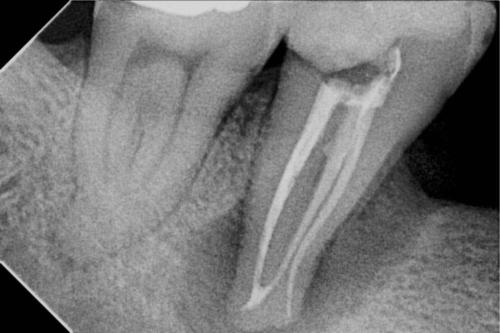 C41C026D-42AA-4E7E-B509-8C300B5D9A25