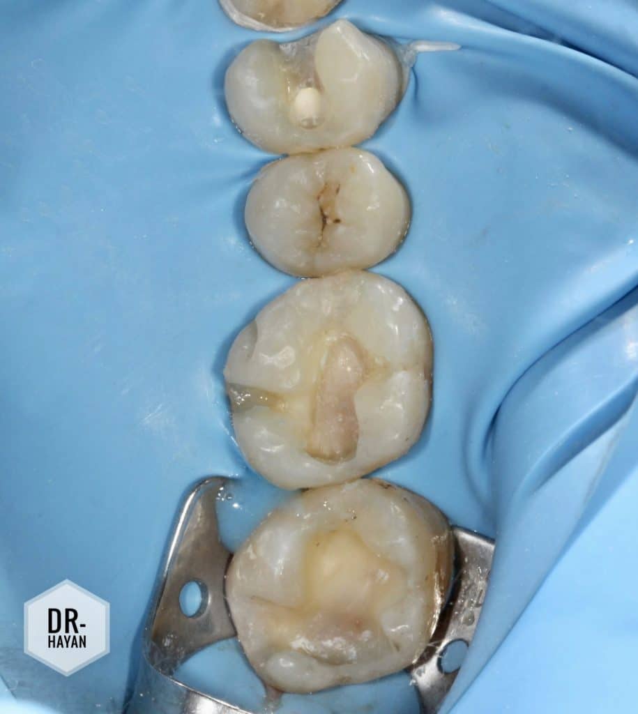 C44DCB6C-9E34-46EC-B599-2342C0800B14