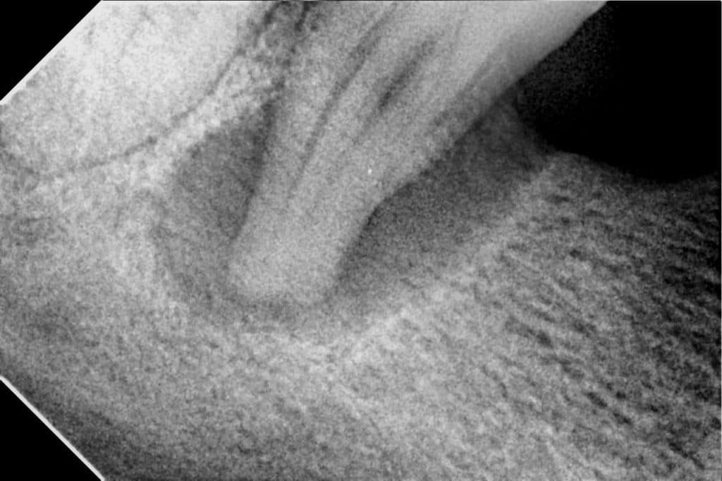 C522479B-44B1-4F14-90DE-8592AA8071D7