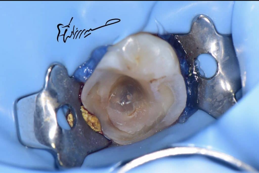 D298F217-E8C4-4CAC-BC0C-BA09CC3C90AB