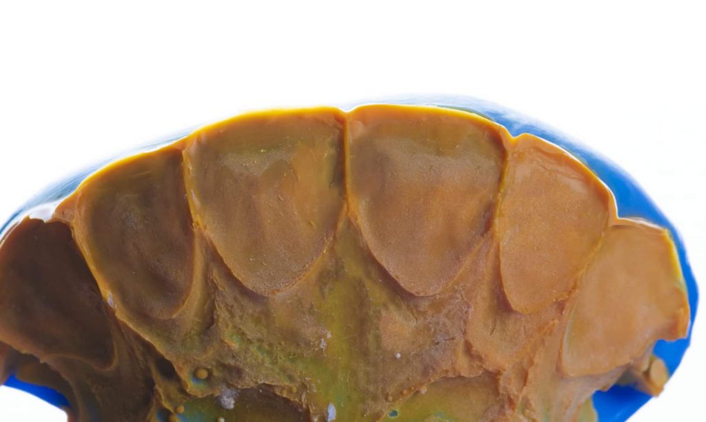 FB_IMG_1649319128354