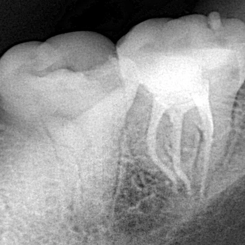 IMG_20220425_002425_335