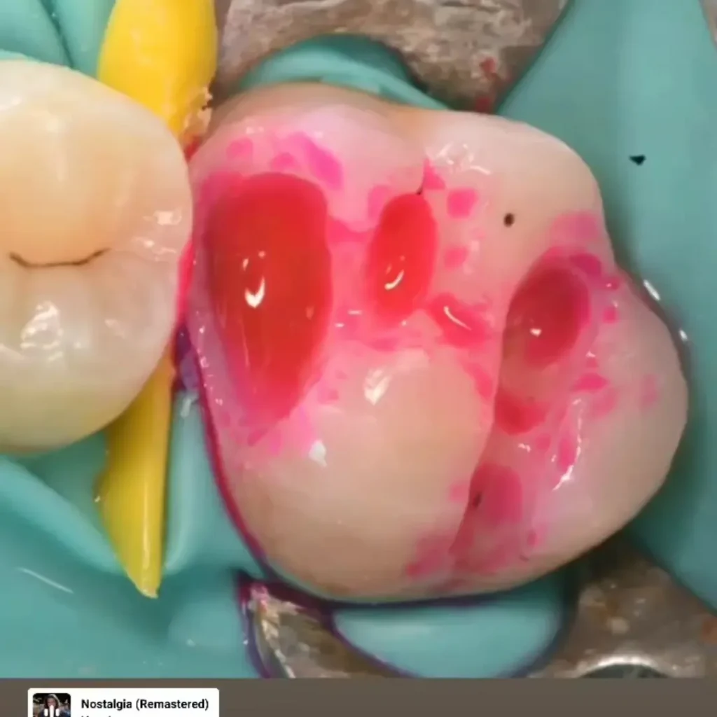 IMG_20220429_163300_810