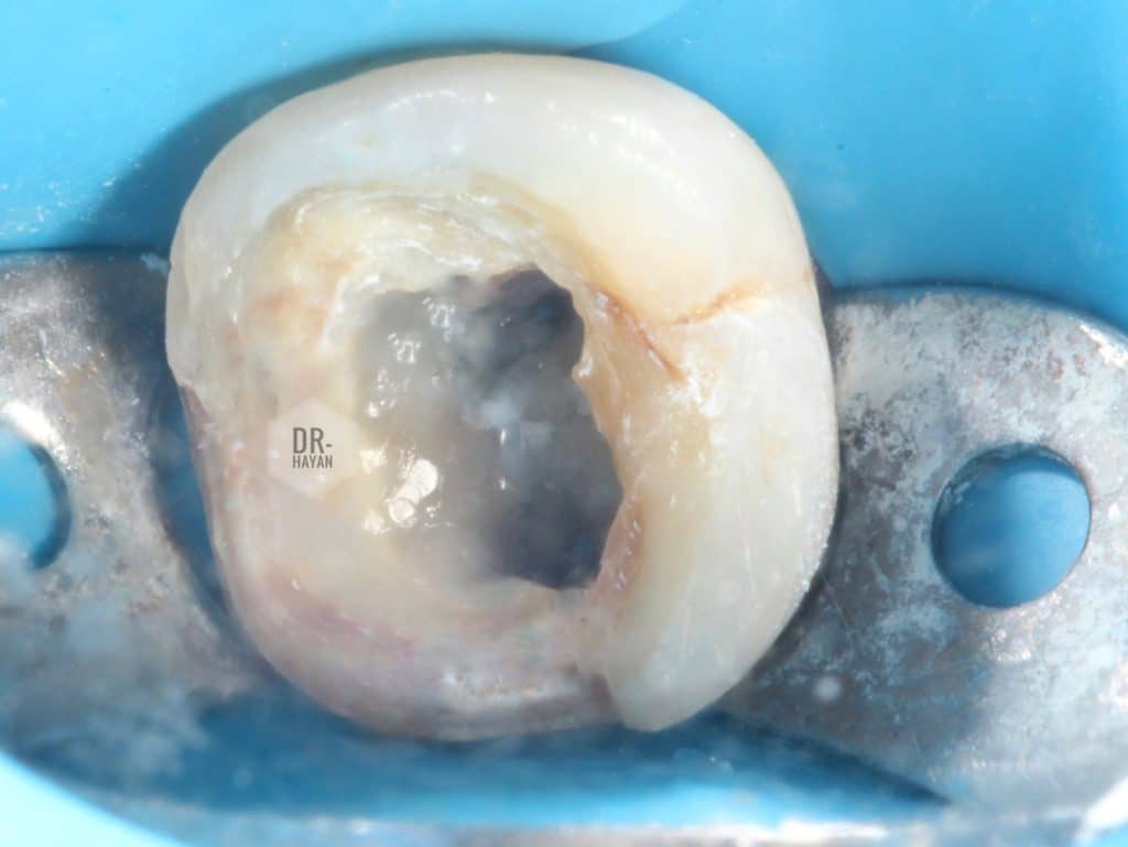 4B8B3AB5-8C5E-4E81-8919-045C07F78C5B