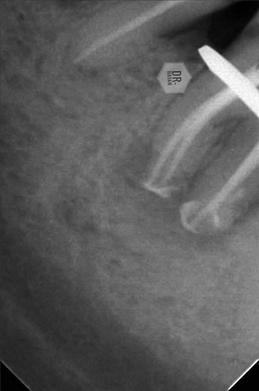 67951580-B50E-4C91-9515-49939B04A567