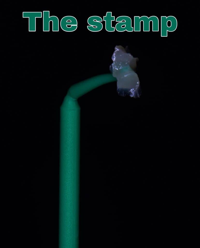 95398553-ABBE-4148-ABD7-8BCA8A0B0802