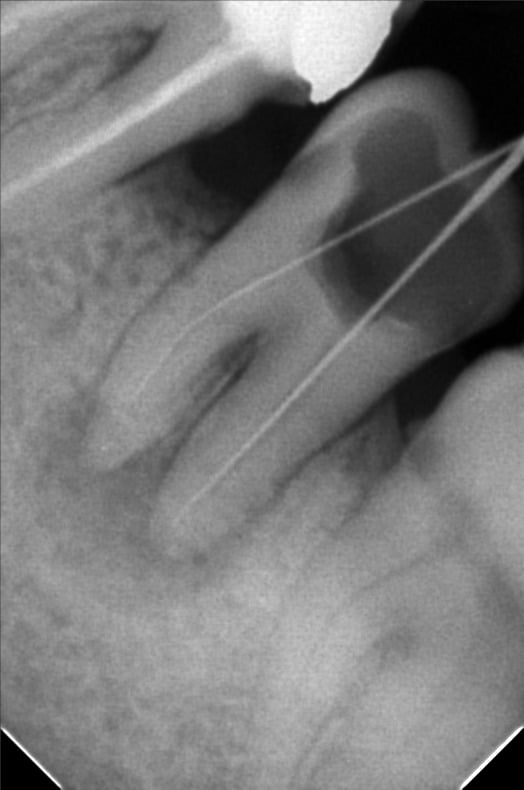 EE7BF106-7CF8-4A9B-AFE4-4C2A69906D13